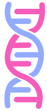 Genetics as a factor of sex/love addiction